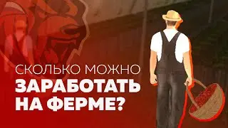 СКОЛЬКО МОЖНО ЗАРАБОТАТЬ НА ФЕРМЕ BLACK RUSSIA CRMP