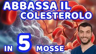 Colesterolo Alto: Sfatiamo un Mito e Scopriamo 5 Segreti per Abbassarlo