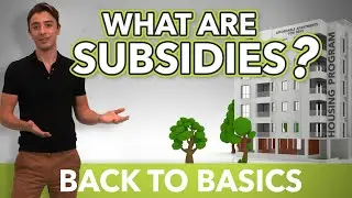 What are Subsidies? | Back to Basics