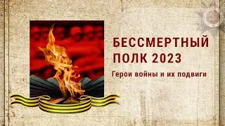 Бессмертный полк 2023 | Участники Великой Отечественной войны и их героические подвиги