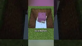 shulker void