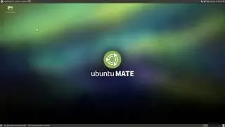 Running an AppImage on Ubuntu MATE 16.04