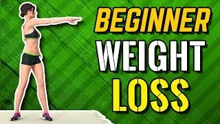 Beginner Weight Loss Workout - Easy Exercises At Home