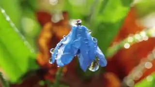 Рождение весны