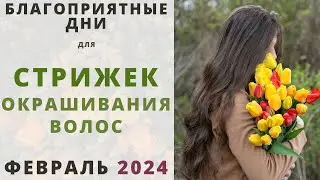 Лунный календарь СТРИЖЕК и ОКРАШИВАНИЯ волос на ФЕВРАЛЬ 2024!