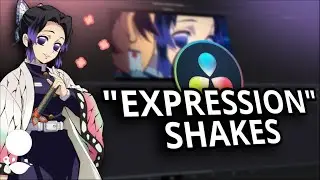 DaVinci Resolve 17 | Expression Shakes Basics