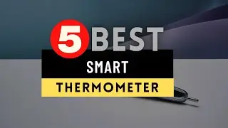 Best Smart Thermometer 2024 🔶 Top 5 Smart Thermometer for Fever Reviews