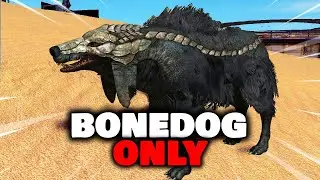 Kenshi - The SOLO BONEDOG EXPERIENCE