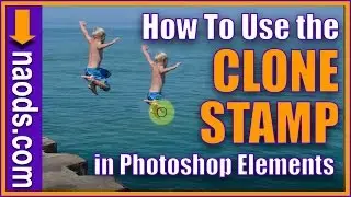 How to use the CLONE STAMP tool in Photoshop Elements