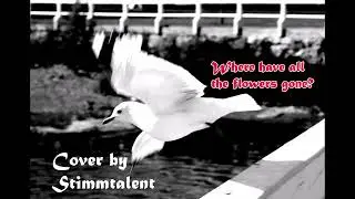 Where have all the flowers gone? (Pete Seeger Cover) - by Stimmtalent