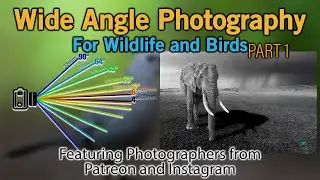 Wide Angle Photography for Birds and Wildlife PART 1