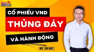 CỔ PHIẾU VND THỦNG ĐÁY VÀ HÀNH ĐỘNG ?? | ĐẦU TƯ CHỨNG KHOÁN