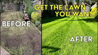 How To FIX An UGLY Lawn With RESULTS 4 Weeks Later In Fall | Step by Step for Beginners EASY