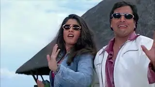 Koi Dekh Le Na, Hamein Yahan Kahin Ghoom Ke Aayen Hum - Govinda | Ravina |Udit Narayan, Alka Yagnik