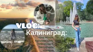 VLOG: янтарный Калининград⛵