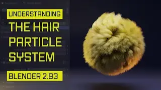 Understanding The Hair Particle System (Blender 2.93)