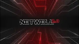 Конференция Netwell 2.0