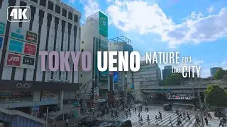 【4K10bit】Stroll in Ueno, Tokyo: from Ameyoko to Ueno Park