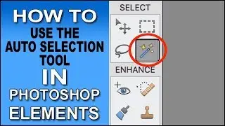 Auto Selection Tool Photoshop Elements 2018