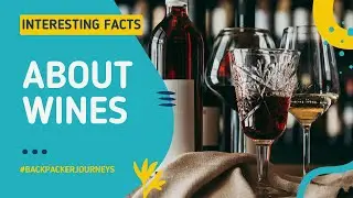 8 Fascinating Facts About Wine You Probably Didn't Know!