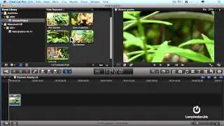 Getting Started: Creating a Simple Edit in FCPX - Larry Jordan