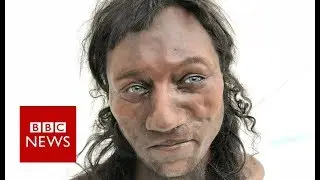 Cheddar Man: DNA shows early Briton had dark skin - BBC News