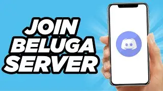 How To Join The Official Beluga Server On Discord (2024)