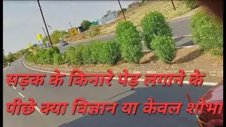 सड़क किनारे पेड़ लगाना क्यों जरूरी ..विज्ञान या शोभा मात्र | Trees On Road Side is Scientific ?