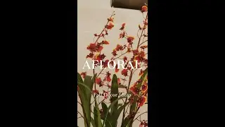 Use Code YOUTUBE15 for 15% off your order! Shop afloral.com