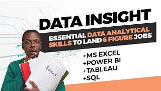 DATA INSIGHT (Explore Essential Skills Data Analyst Must Have).