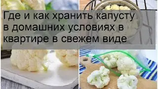 Где и как хранить капусту в домашних условиях в квартире в свежем виде