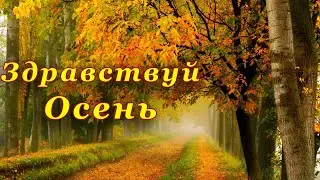 1 сентября 🍁 Первый День Осени 🍂  Красивое Видео Поздравление С Первым Днем Осени