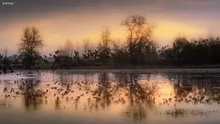 Мелодия осени.