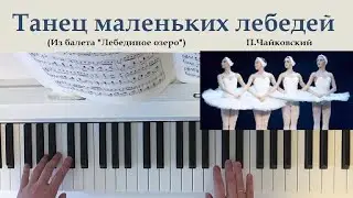 How to play the piano Dance of the little swans. EASY and simple TCHAIKOVSKY