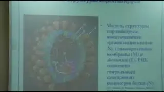 Лекция 7 «Отряд Nidovirales и семейство Coronaviridae»