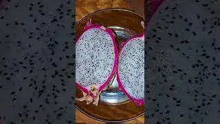 Питайхая 