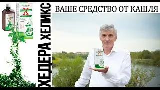 Хедера Хеликс – природное средство при кашле и зимних заболеваниях. Рассказывает Геннадий Гарбузов