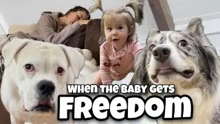 When the Baby Gets Freedom