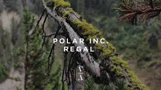 Polar Inc. - Regal (Extended Mix)