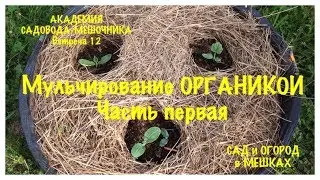 Мульчирование ОРГАНИКОЙ. Часть первая. СЕНО и ГОРЯЧАЯ ТРАВА. Встреча 12. АКАДЕМИЯ САДОВОДА-МЕШОЧНИКА