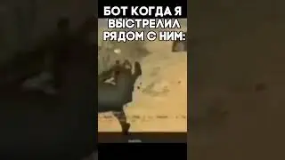 жиза в 