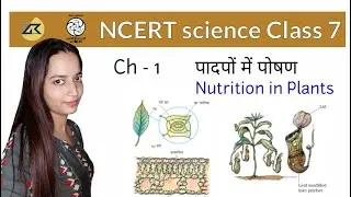 Nutrition in Plants | NCERT Science Class 7 for CTET, DSSSB, UPTET, SUPTET, SSC, UPSC