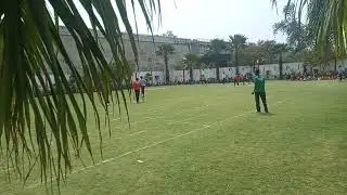 Cricket match part 2