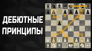 Основные дебютные принципы в шахматах. Принципы дебюта