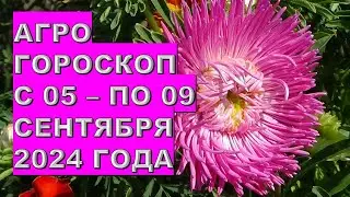 Агрогороскоп с 05 по 09 сентября 2024 года  Agrohoroscope from September 5 to September 9, 2024