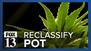 What will marijuana reclassification mean for Utah?