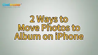 How to Move Photos to Albums on iPhone? [2 Ways]