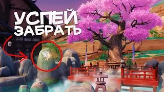 Успей поймать ее, пока она не исчезла навсегда  | Genshin Impact