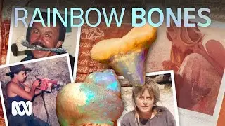 Lost forever, found again: the battle for rainbow bones 🦴🌈 | ABC Australia