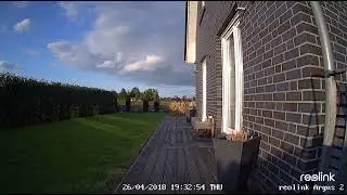 Daytime Video Sample | Reolink 1080p Security Camera